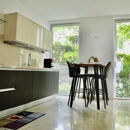 Peaceful Madeira Palace 公寓 *