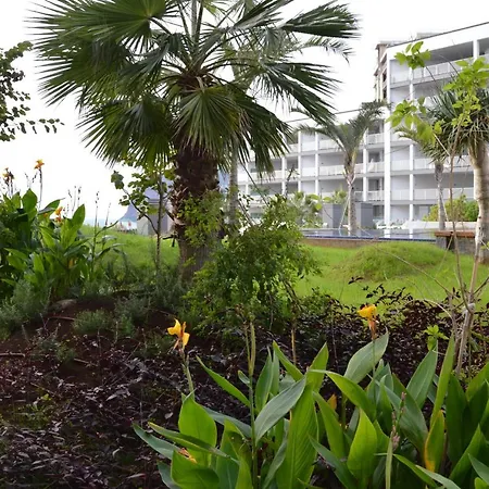 Апартаменты Peaceful Madeira Palace