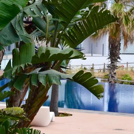 Апартаменты Peaceful Madeira Palace *