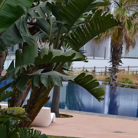 Peaceful Madeira Palace 푼샬