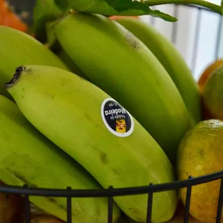 Peaceful Madeira Palace Apartamento *